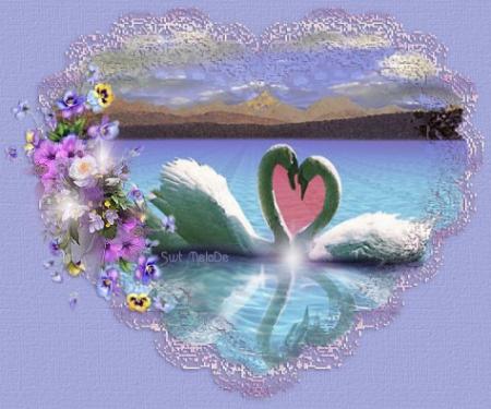 Pensée amoureuse
